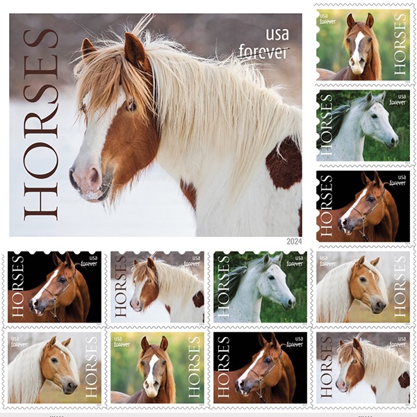 Horses Stamps 2024 广告素材