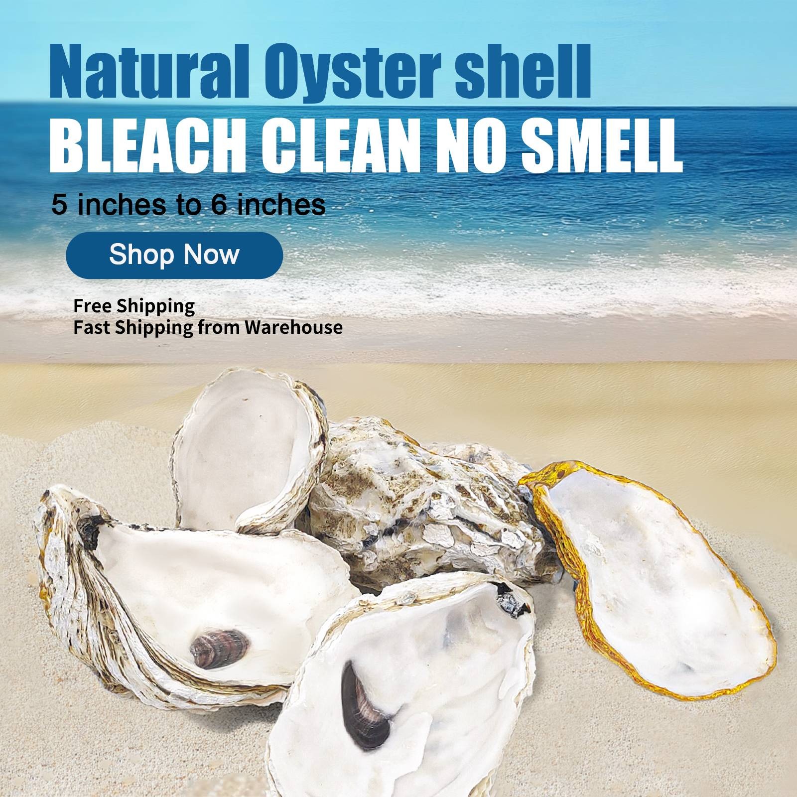 36PCS Oyster Shells Large Oyster Shells Bulk Oyster Shells for Home Decor Vase Filler, Ornaments, DIY Arts and Crafts Sea Shells, Deeper Shells Cups 5"-6" ad creative