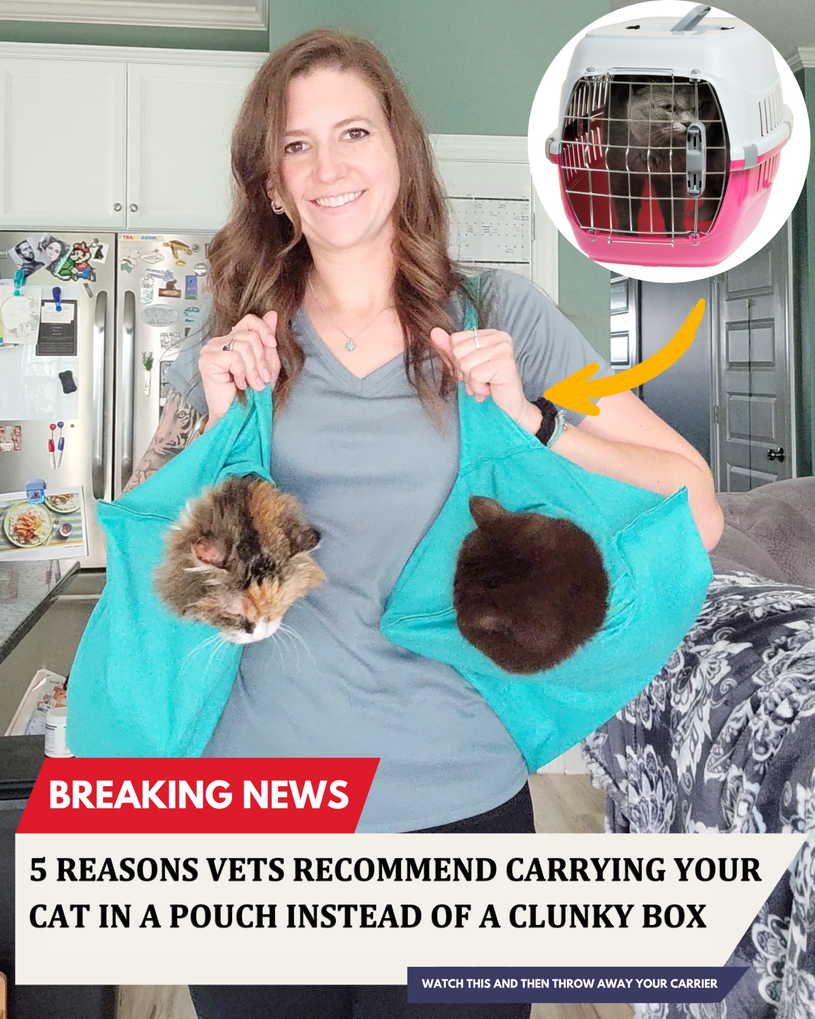 5 Reasons Why This Cat Carrier Pouch Is On Every Cat Parent's 2024 Wis 广告素材