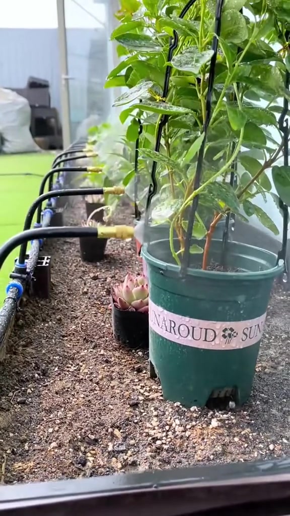 49% OFF🔥 -Fog Cooled Automatic Irrigation System 广告素材
