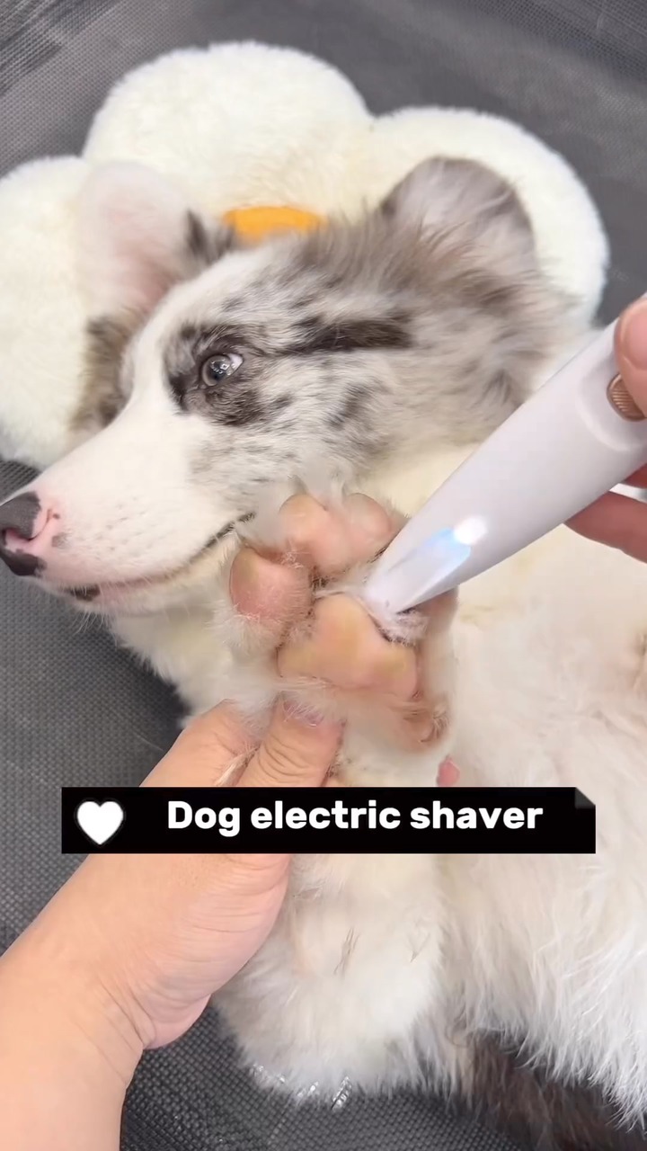 Pet Hair Trimmer With Led Light ad creative