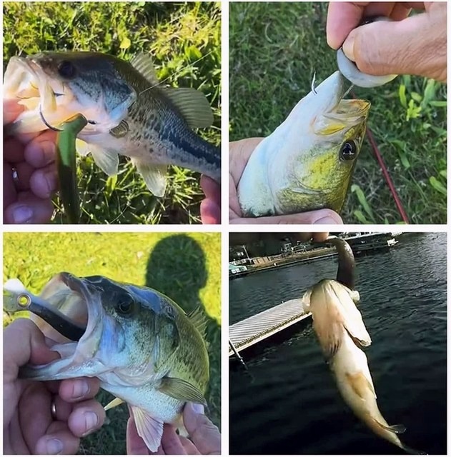 🔥 Soft Bionic Fishing Lures 广告素材