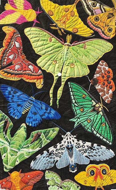 Butterfly CLA1710080Q Quilt Blanket 广告素材