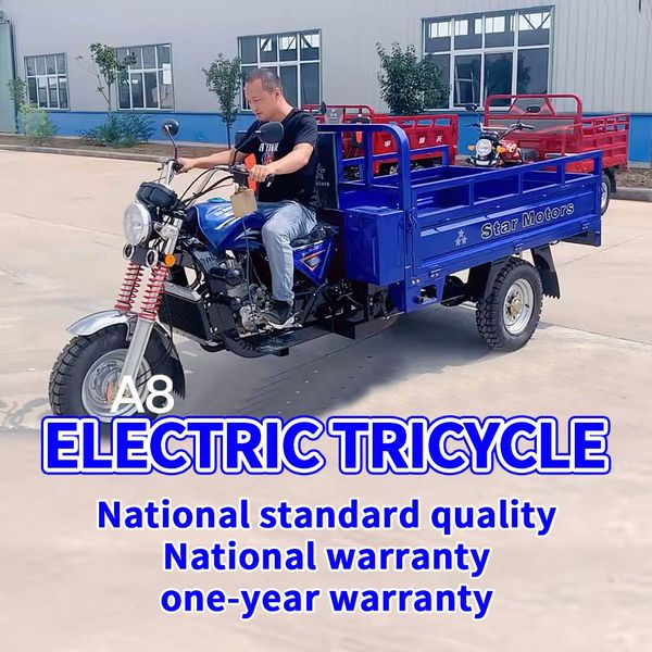 Electric Tricycle Cargo Van,Electric Tricycle,Home Delivery Vehicle,Agricultural Tricycle,Elderly Vehicle,Warehouse Van,1000W Differential Motor,60V~45Alarge capacity battery,500KG Loader Hopper 广告素材