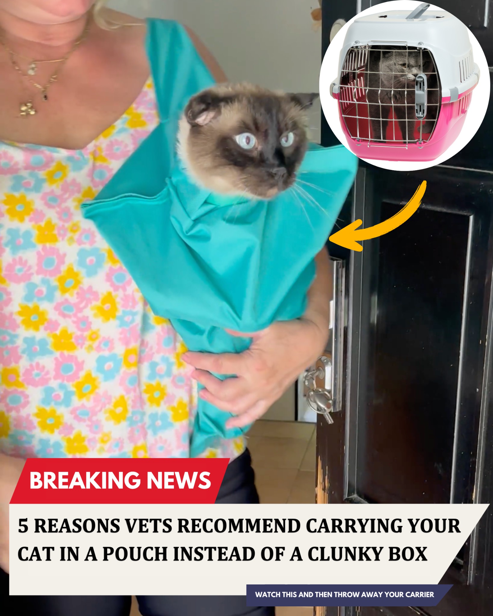 5 Reasons Why This Cat Carrier Pouch Is On Every Cat Parent's 2024 Wis 广告素材