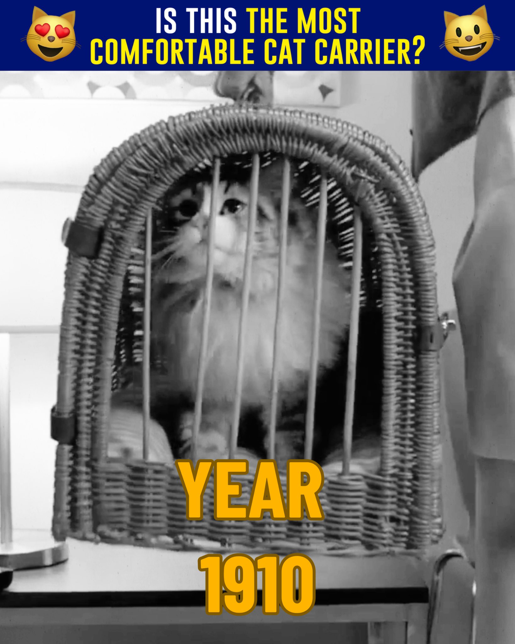 5 Reasons Why This Cat Carrier Pouch Is On Every Cat Parent's 2024 Wis 广告素材