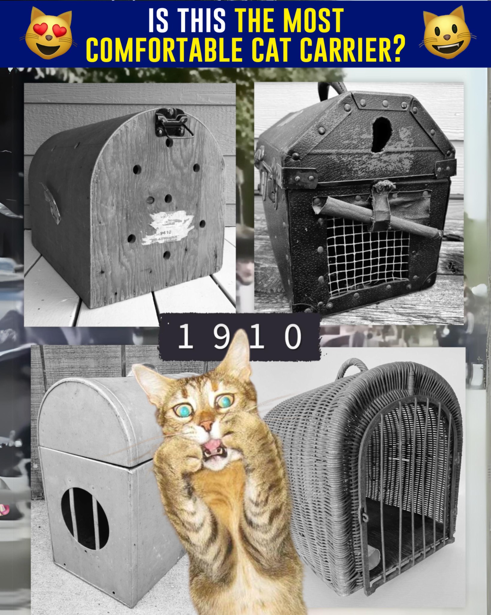 5 Reasons Why This Cat Carrier Pouch Is On Every Cat Parent's 2024 Wis 广告素材