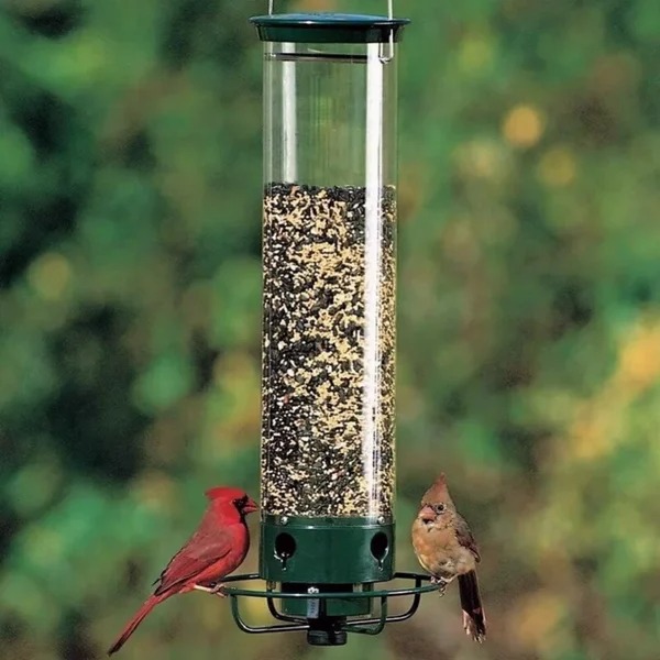 🔥HOT SALE🔥Squirrel-Proof Bird Feeder 广告素材