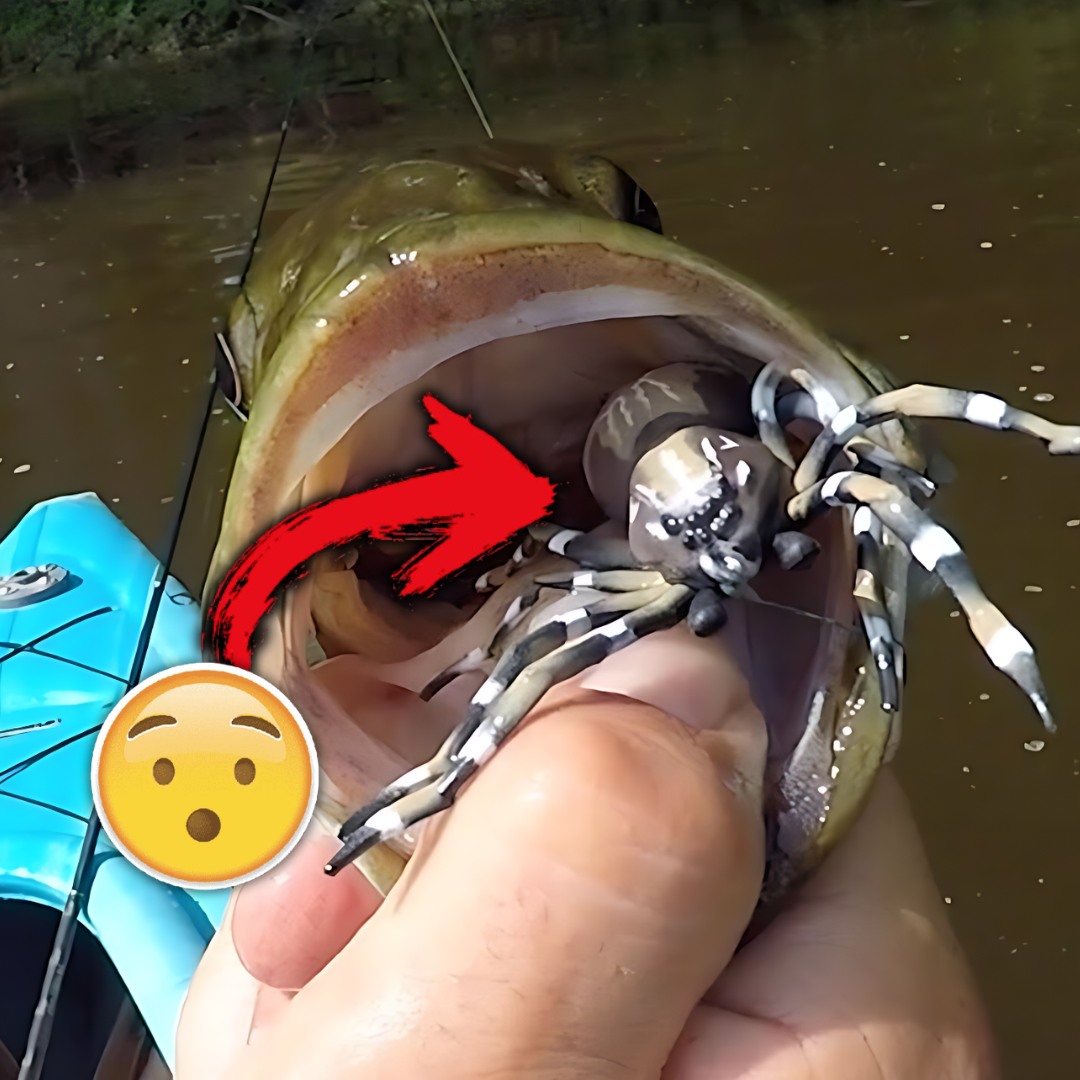 ShadowStrike™ Spider Lure ad creative
