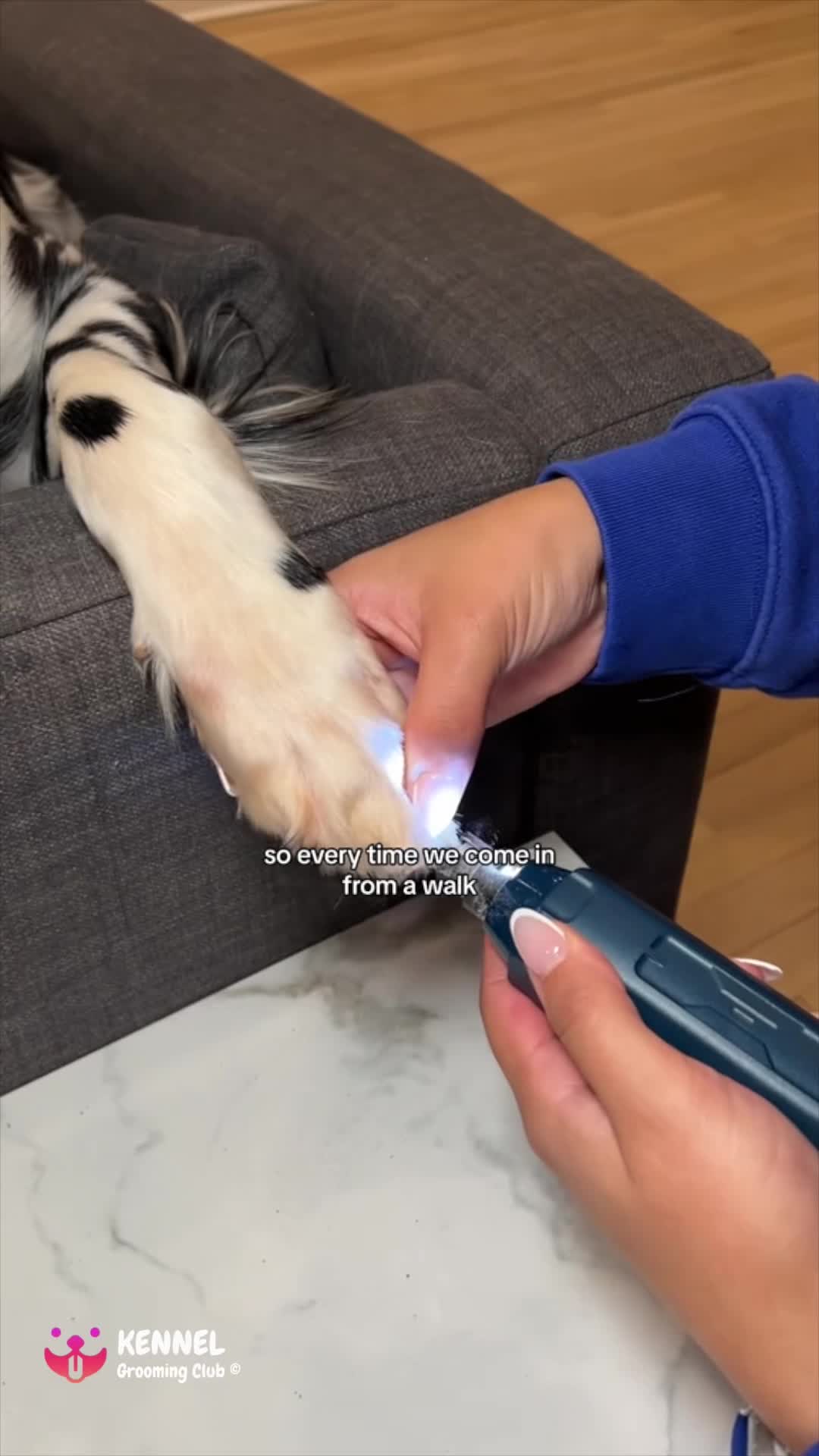 Pet Chisel Pro™ Bundle ad creative