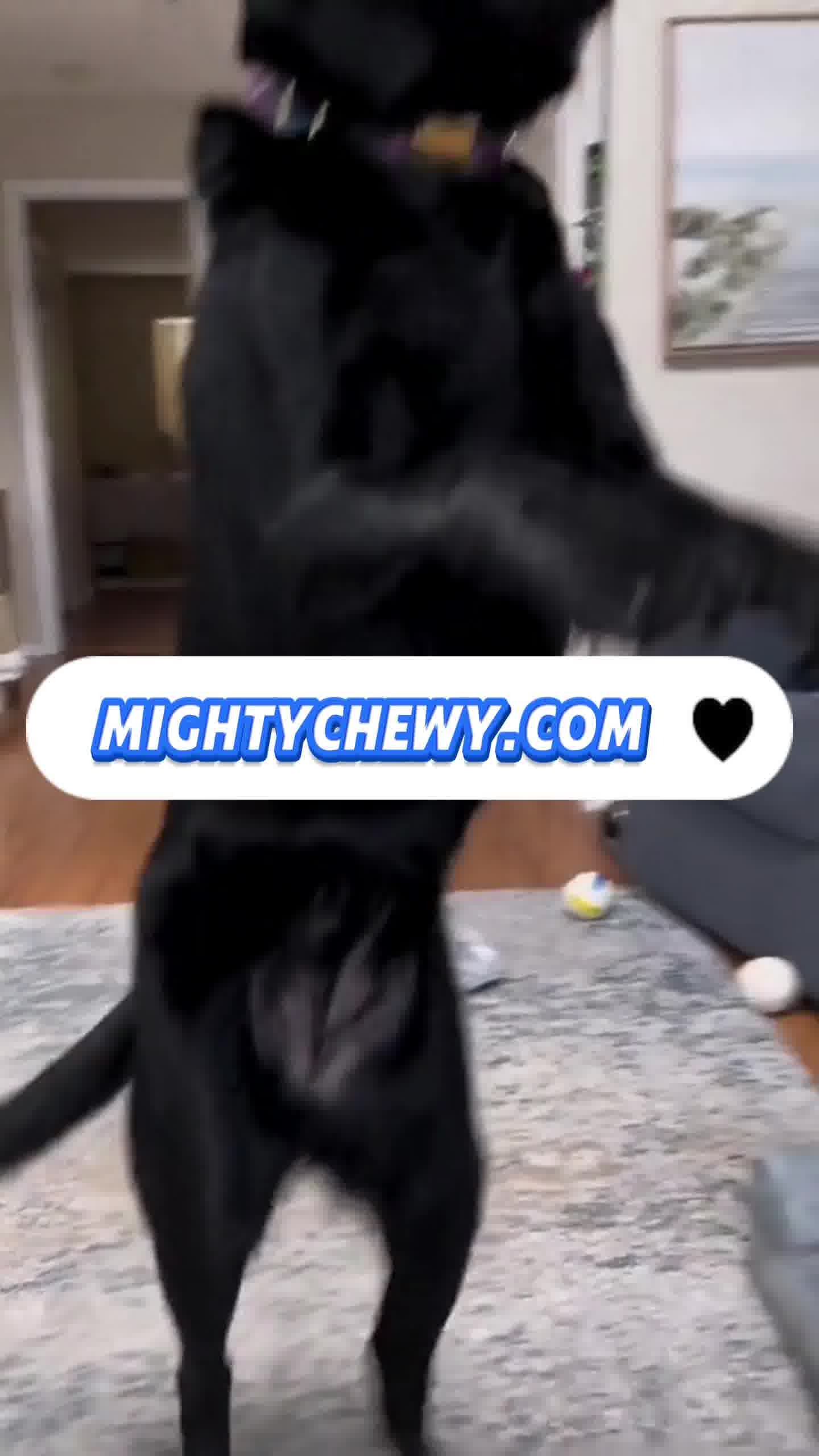 MightyChewy Indestructible Dog Toy ad creative