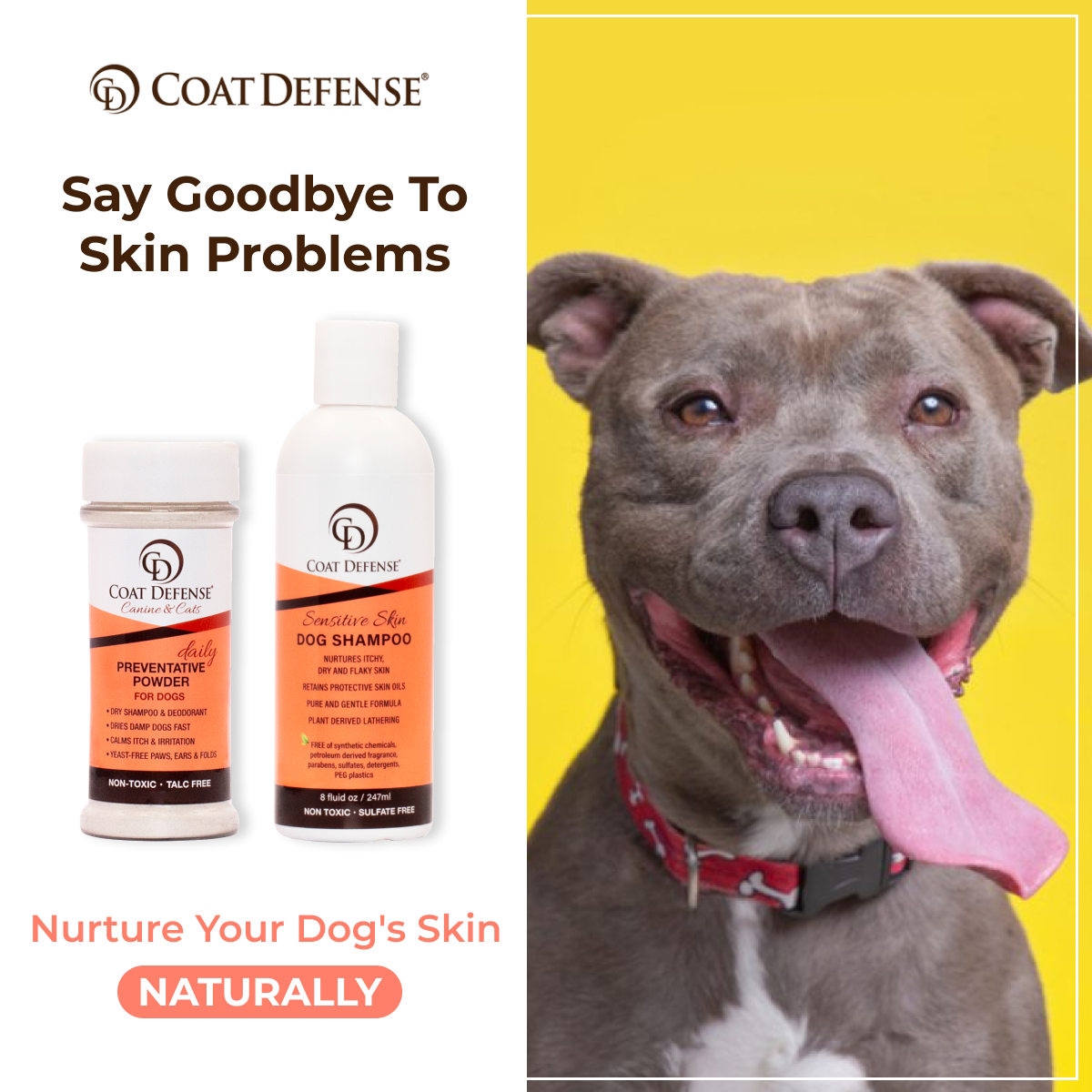 Paw Licker Bundle ad creative