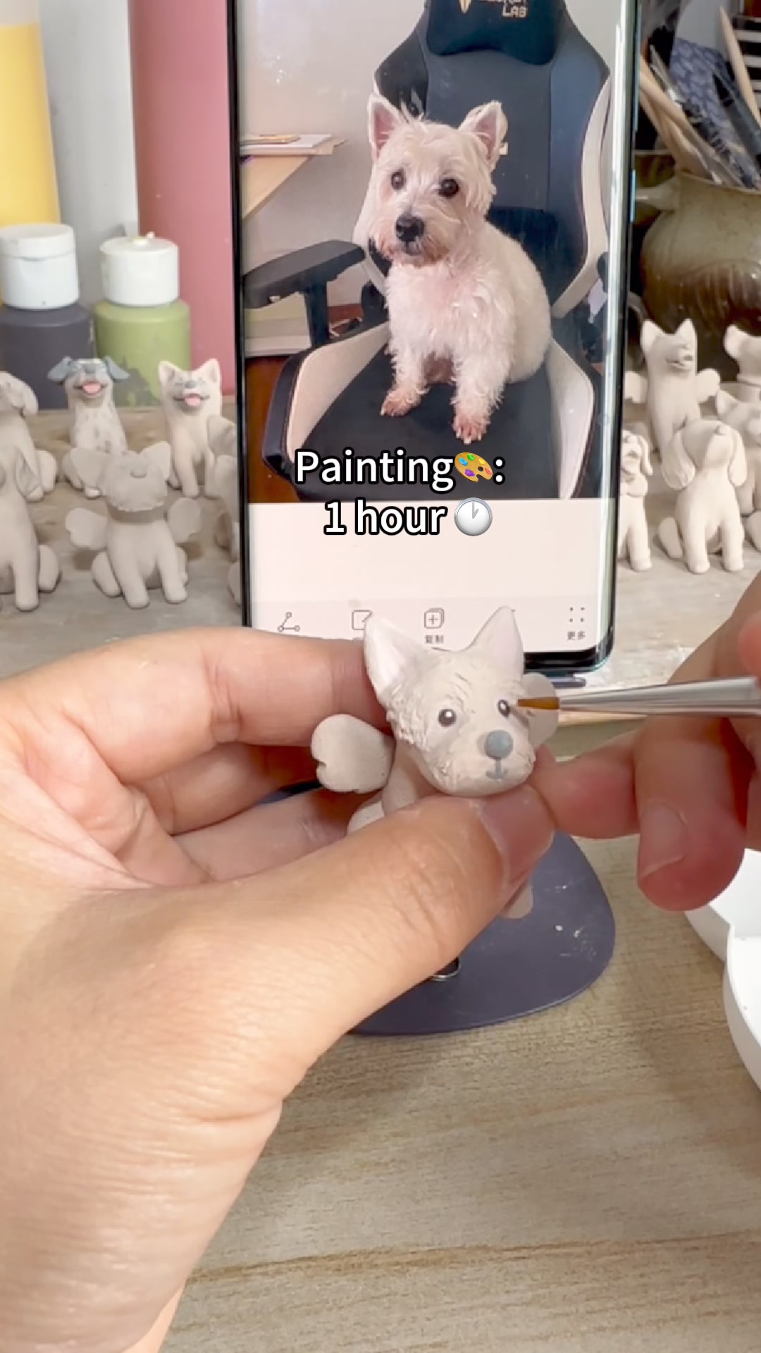 Pawows ad creative