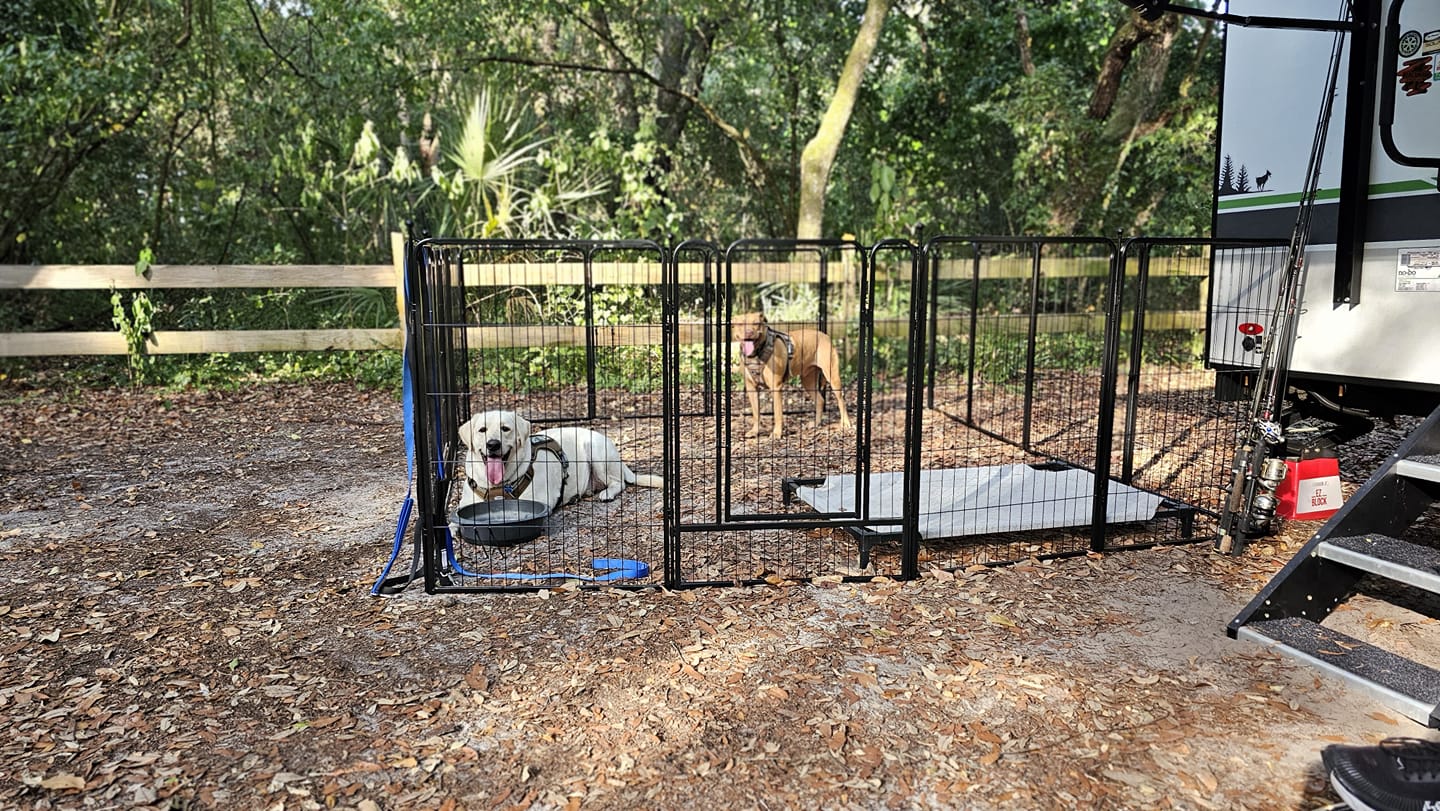 Rollick Dog Playpen for All-Terrain 广告素材