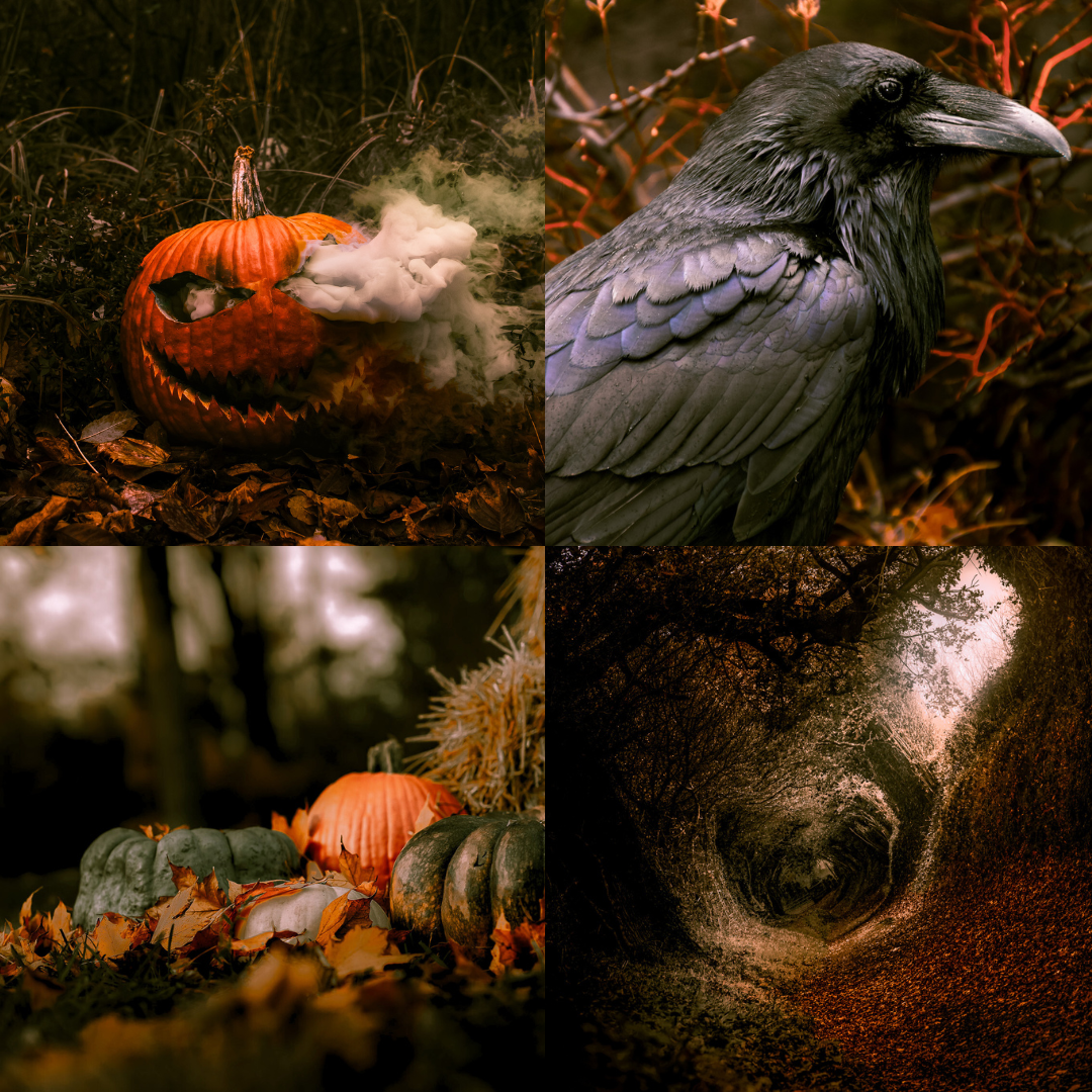 Spooky Woods LIMITED Lightroom Presets Pack 广告素材