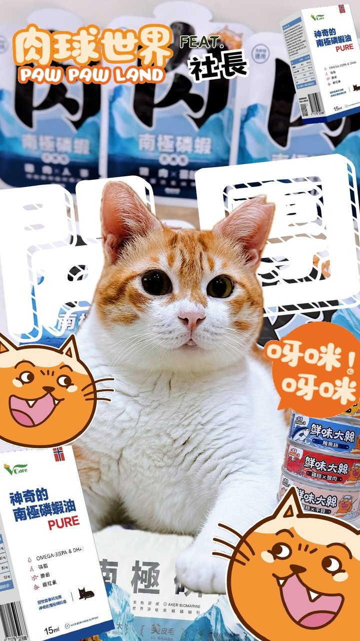 肉球世界 Pawpawland ad creative