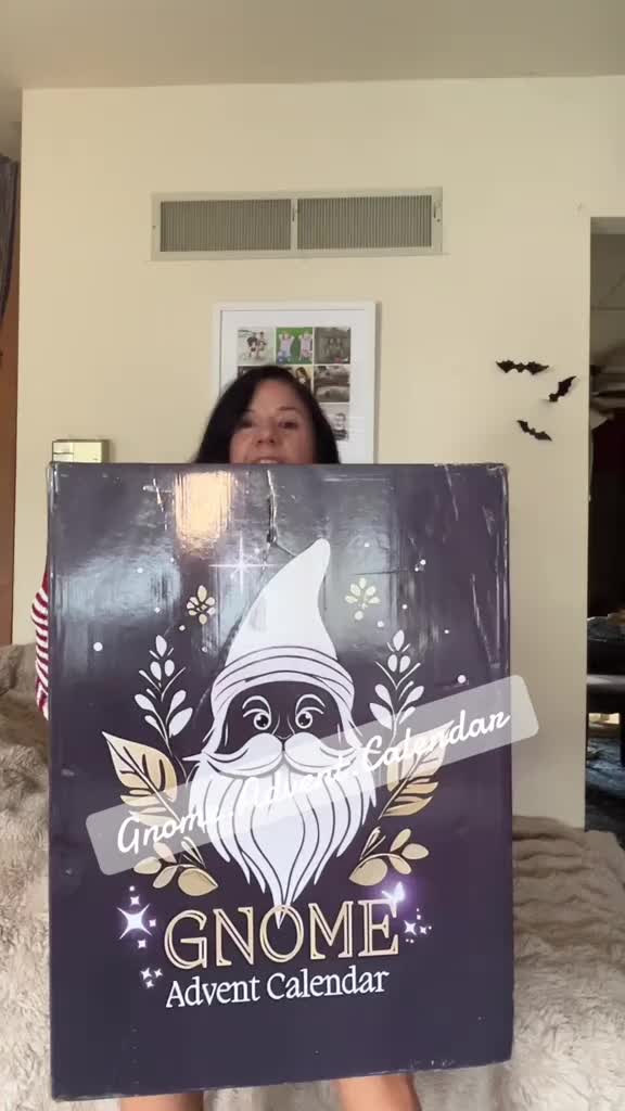 🎅2024 Christmas Gnome Advent Calendar ad creative