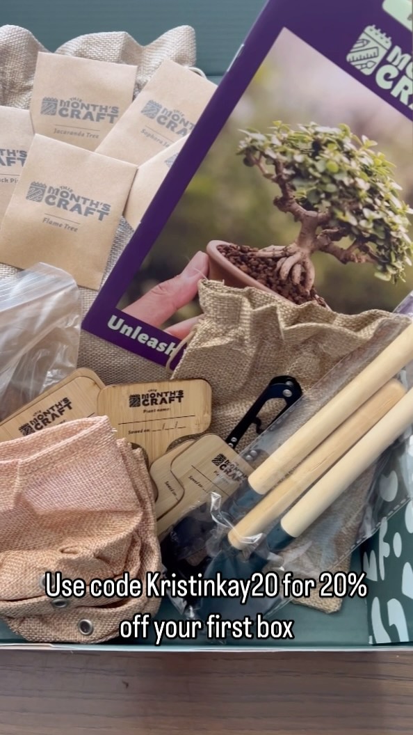This Month's Craft DIY Subscription Box 广告素材