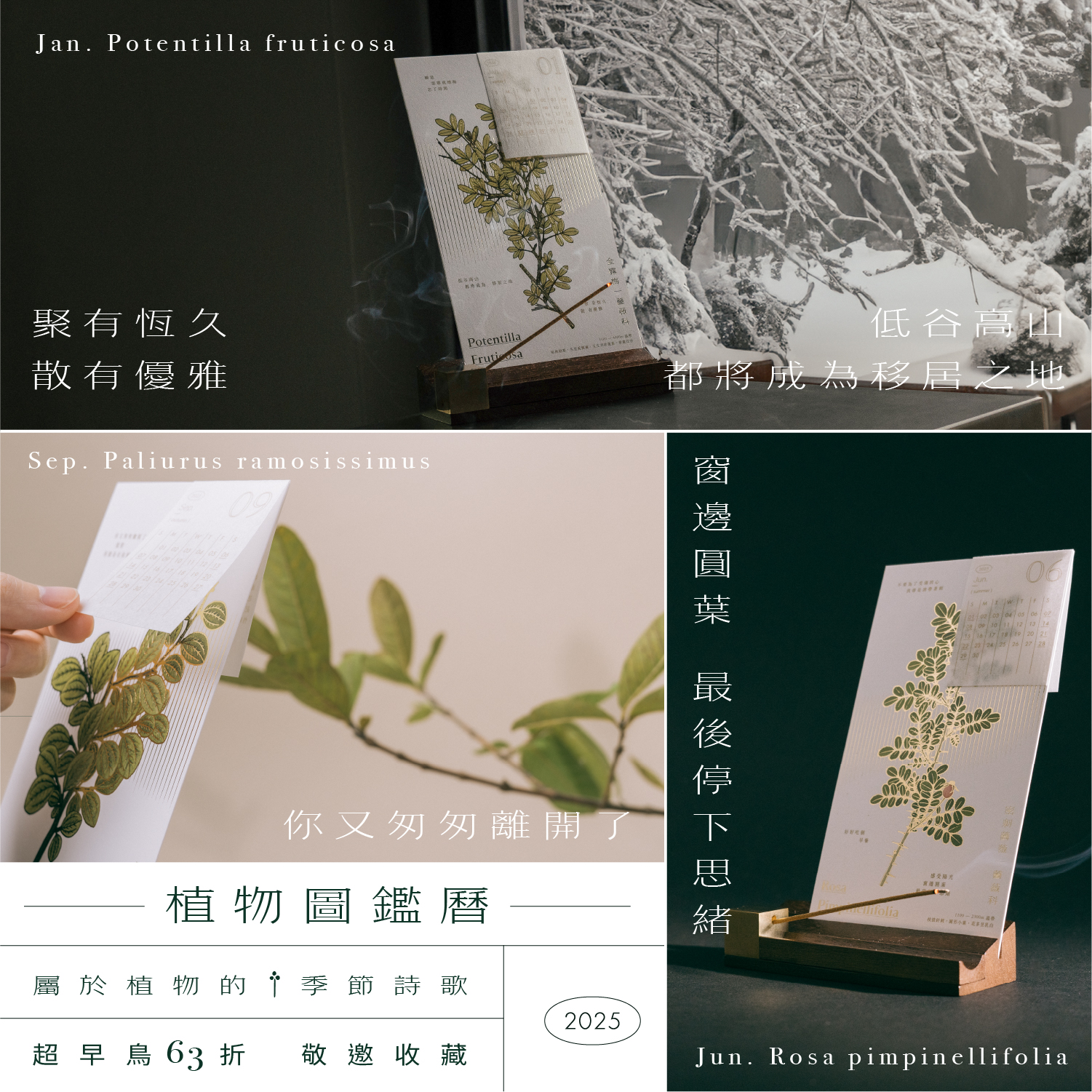 YEYE 葉葉 广告素材