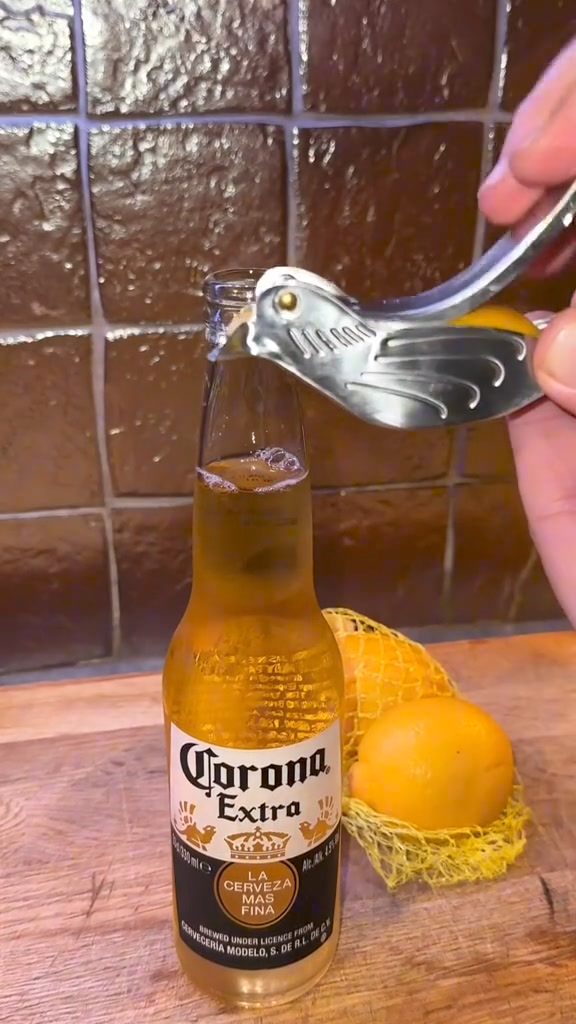(🎄Christmas Hot Sale - 49% OFF) Stainless Steel Bird Shape Lemon Juicer ad creative