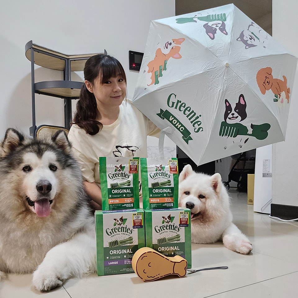雪橇犬麥可噗優和緬因喬鈮喵 ad creative