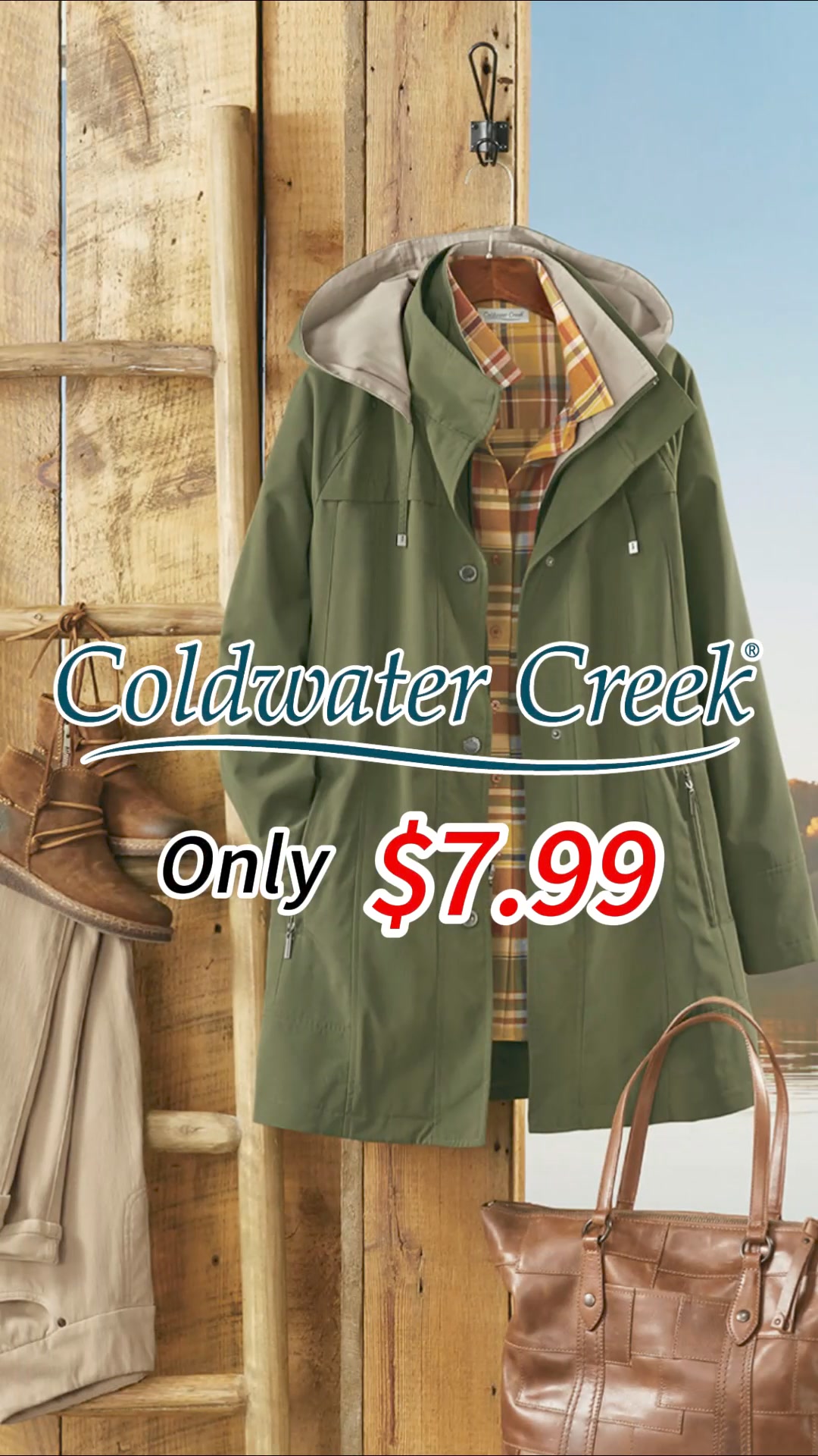 Coldwater Annual Discount Store ad creative